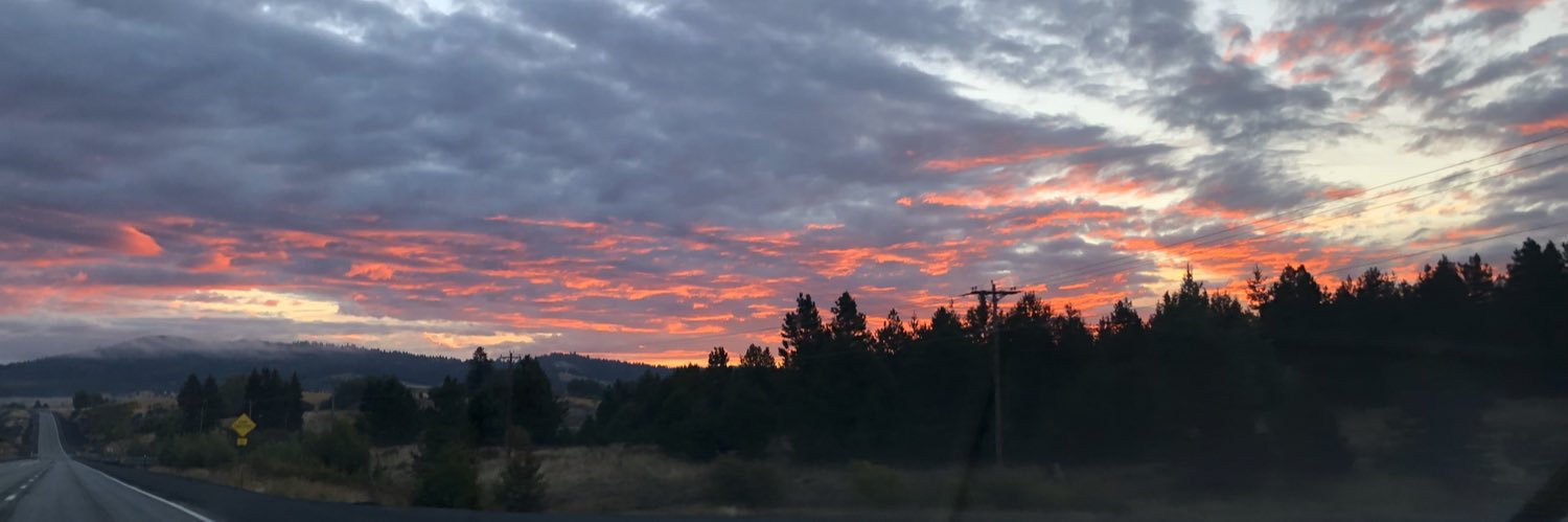 olivia_rose32's profile banner image