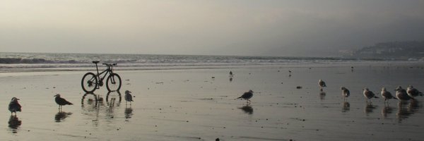 ScientificML Profile Banner