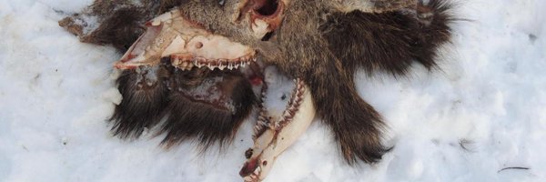 osteomely Profile Banner