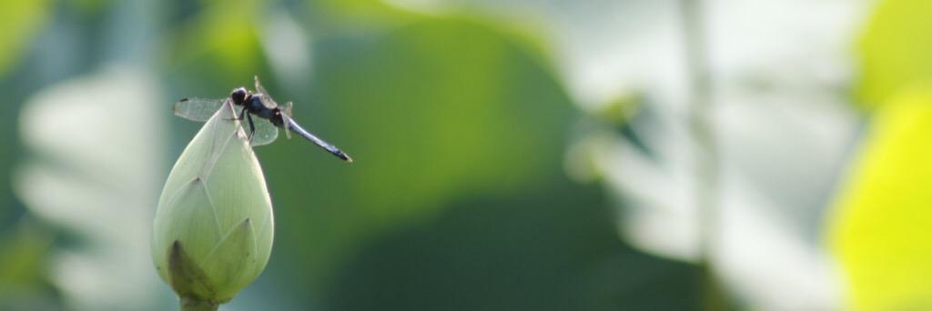 yufuki02's profile banner image
