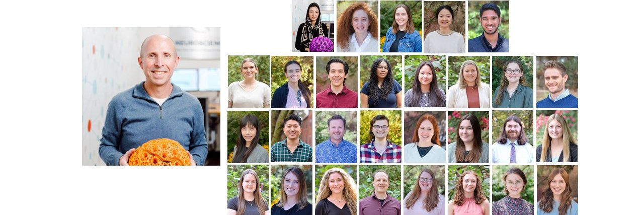 DICoN Lab's banner