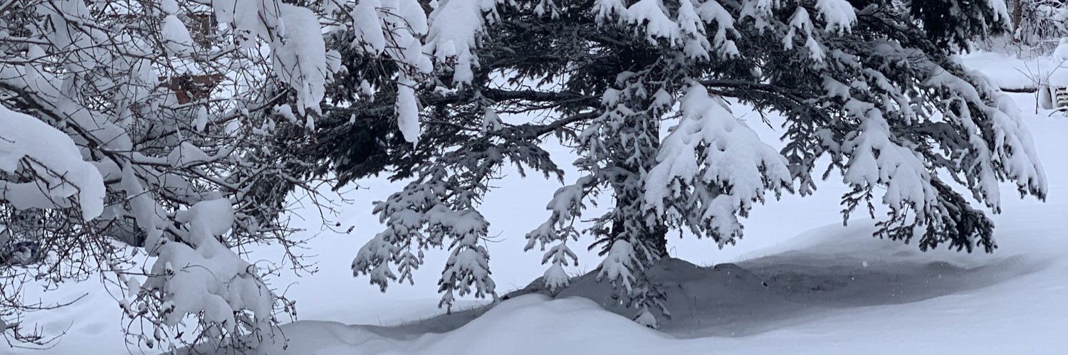 Yvonne in Alaska banner