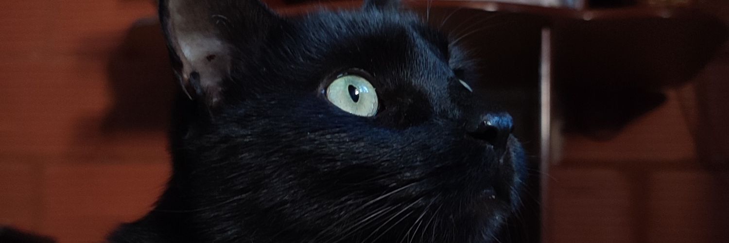 LolaGoonzalez's profile banner image