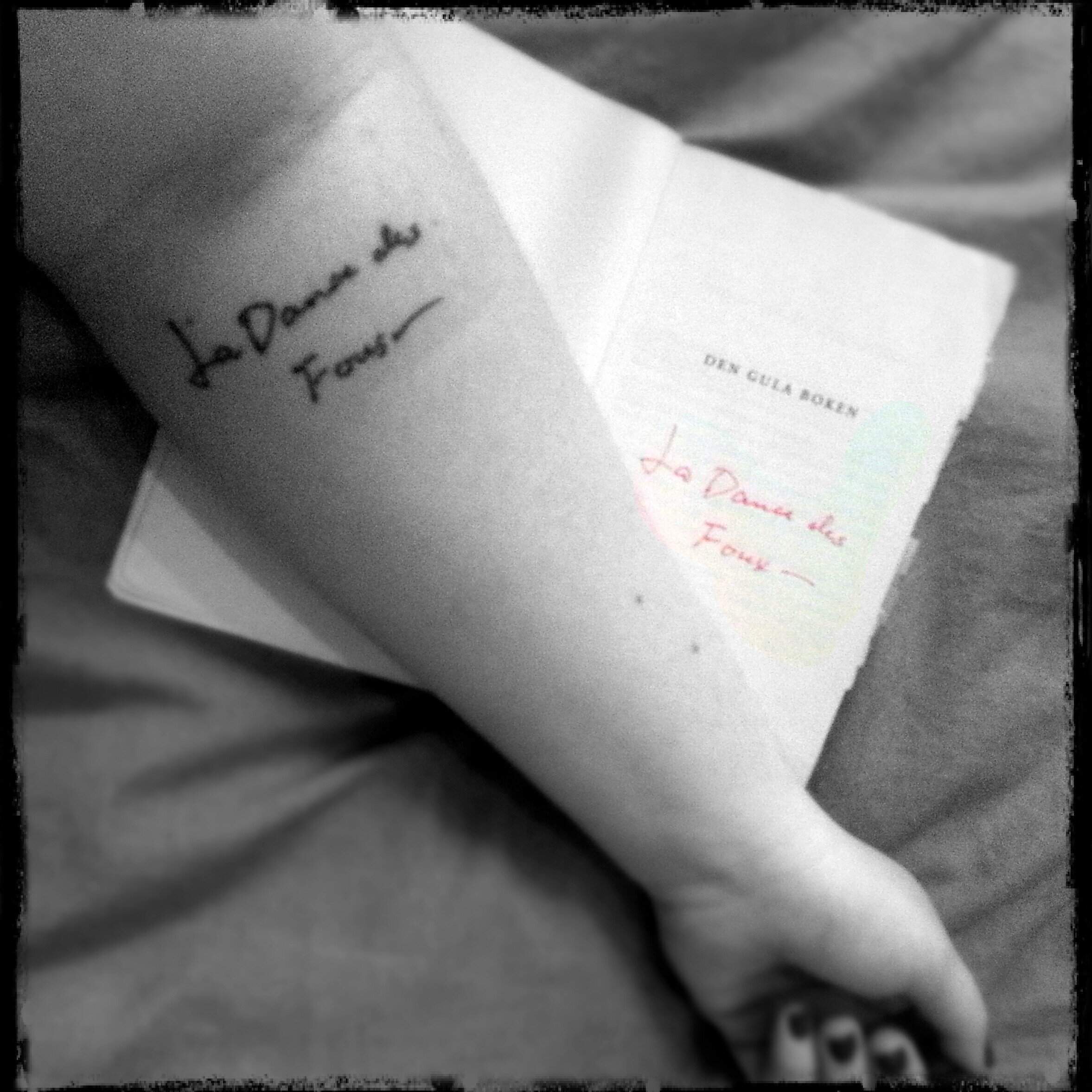 Katastrof Katten banner