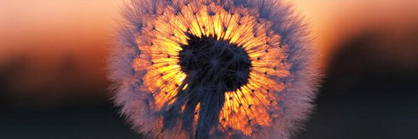 cikajb Profile Banner