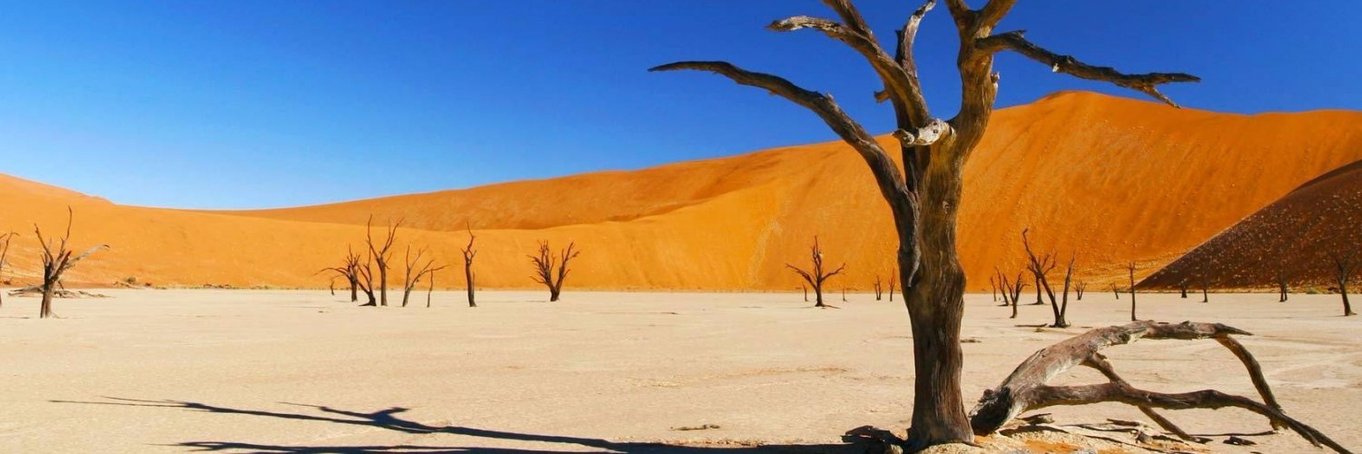 MyGuideNamibia's profile banner image