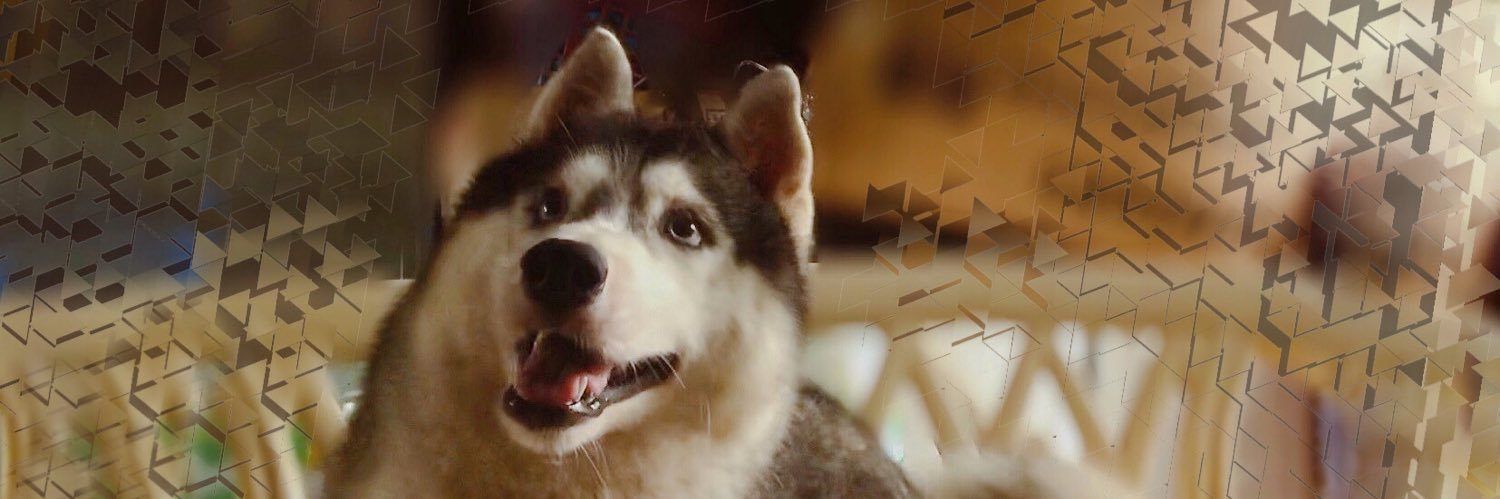 dhalssocrazy's profile banner image