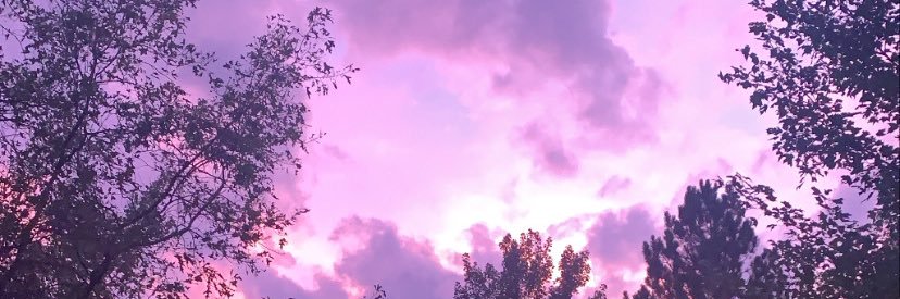 SilversBrook's profile banner image