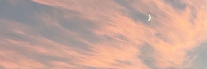 arami_recalde's profile banner image