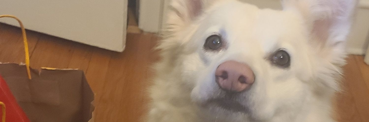 Memeseek_Gamer's profile banner image