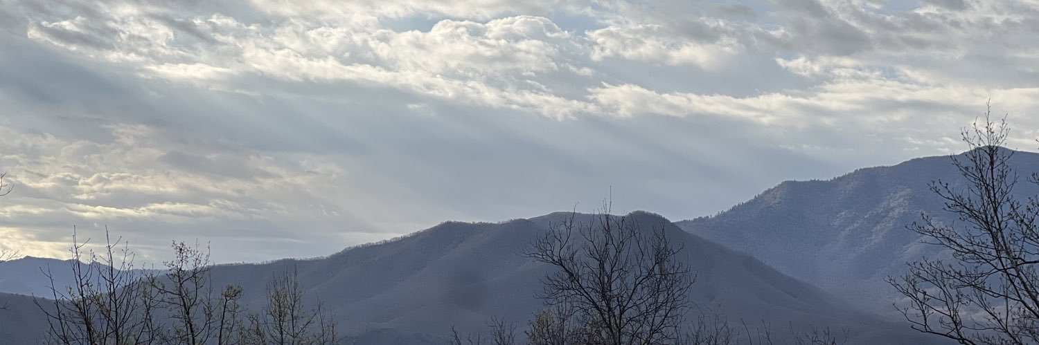 Bryce_Willis3's profile banner image