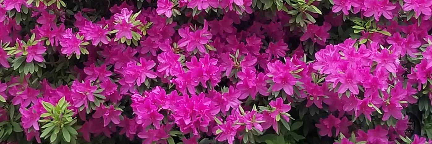 Anne___T's profile banner image