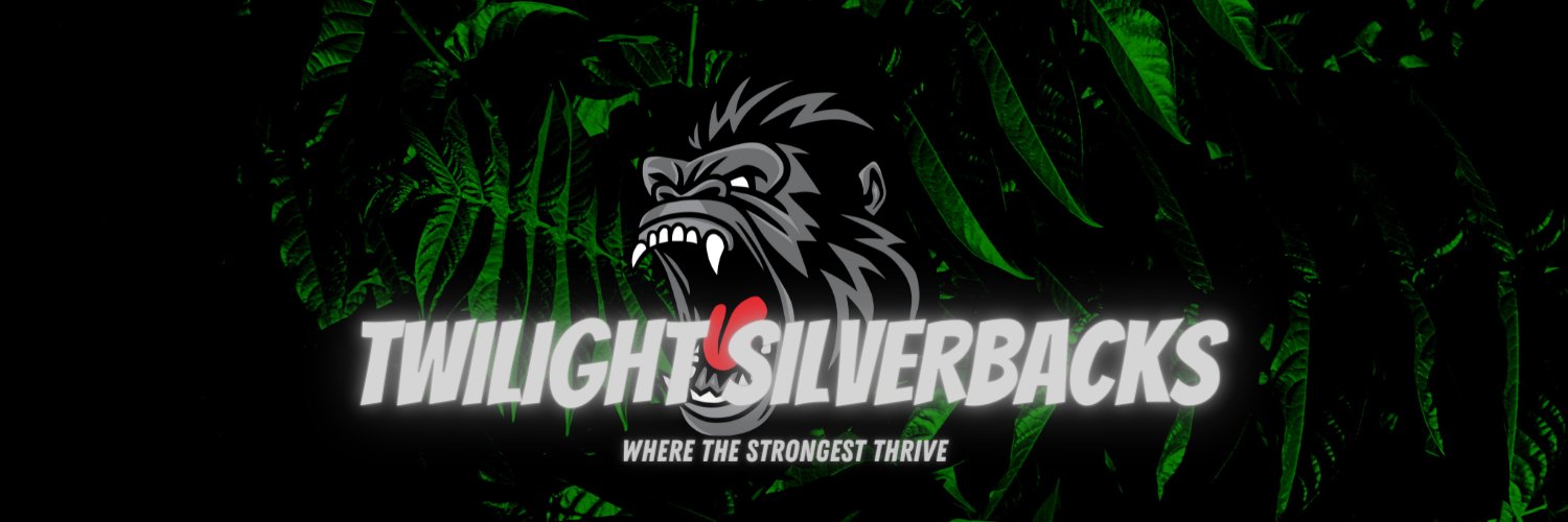 HASLET TWILIGHT SILVERBACKS banner