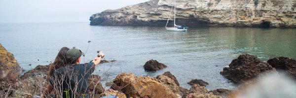 SvAvocet Profile Banner