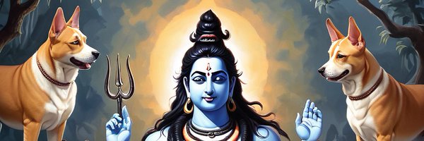 rachitav22 Profile Banner