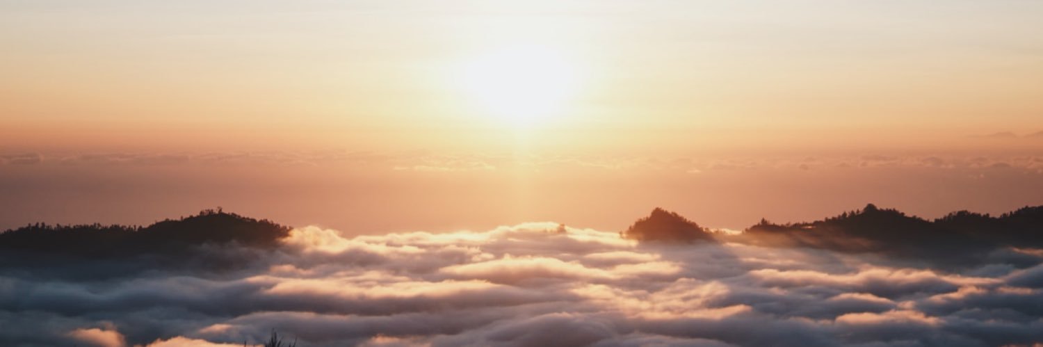 DailydoseofDMT's profile banner image