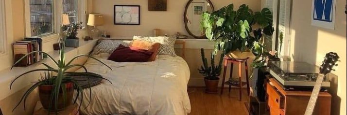 plant based babe🌱 banner
