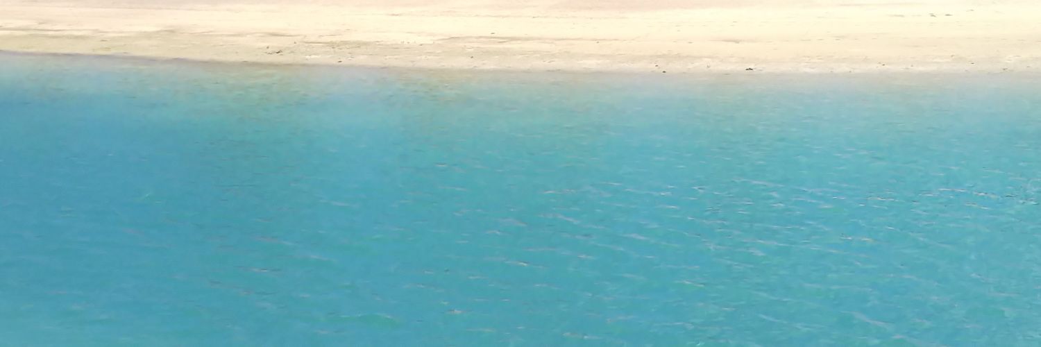 CoCa_singing's profile banner image