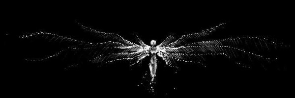 ephemeraljasmin Profile Banner