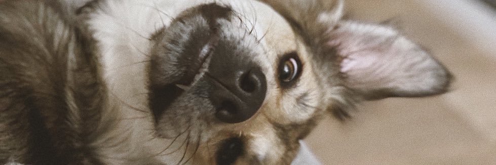 AnaVbon's profile banner image