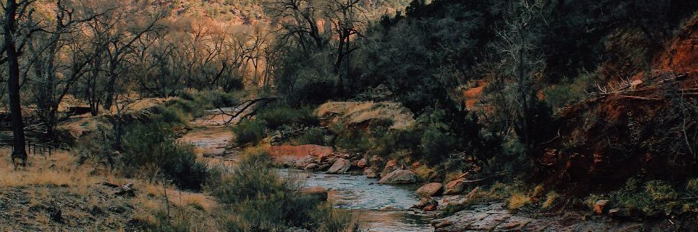 StoneAshton's profile banner image