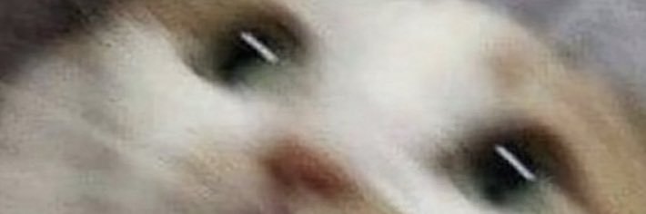 hood__3's profile banner image