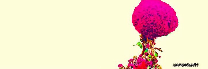 fh0500357's profile banner image