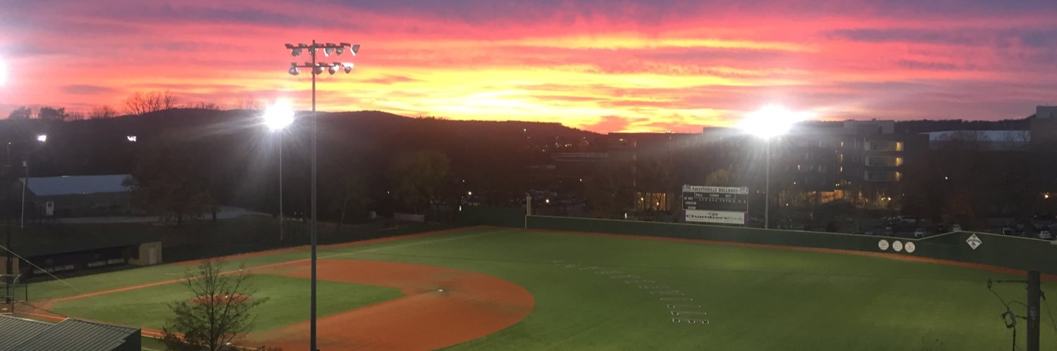 PurpleDogBaseball banner