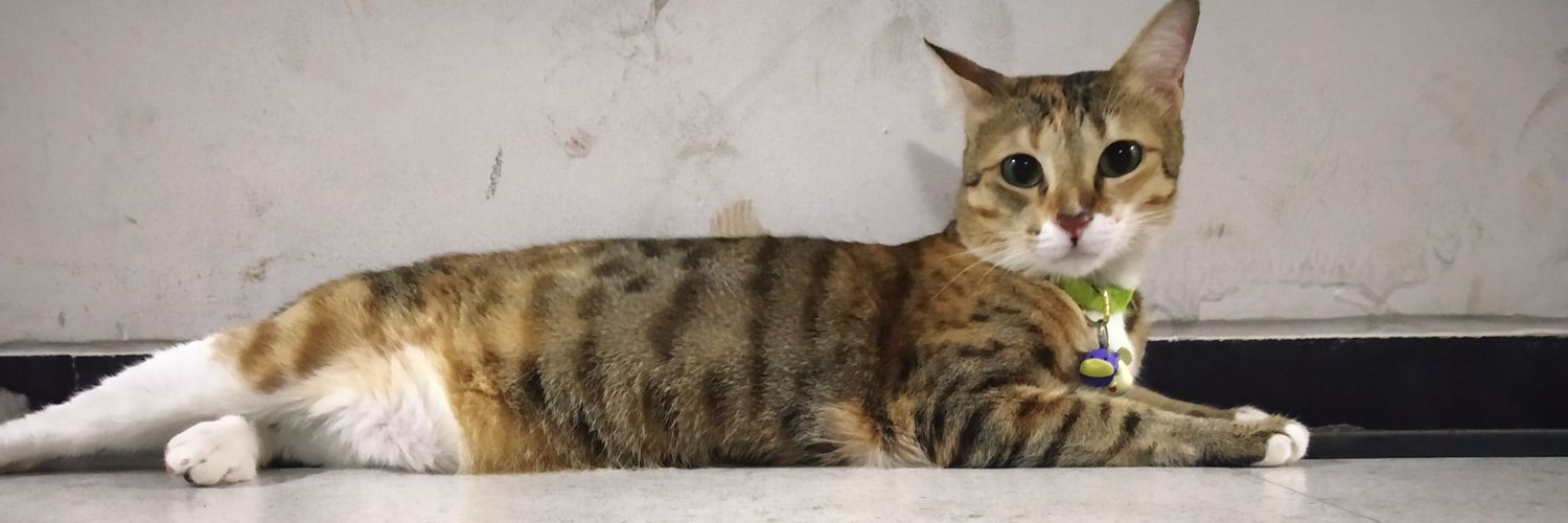 Avishek Maitra (#ModikaParivar) banner