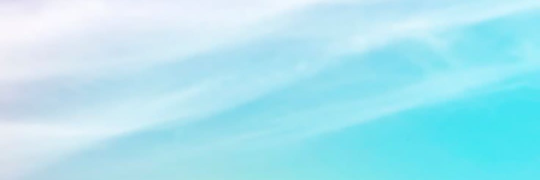 🍀モナカ猫🐱🐤🍀 banner