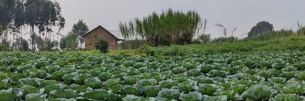 am_alicee Profile Banner