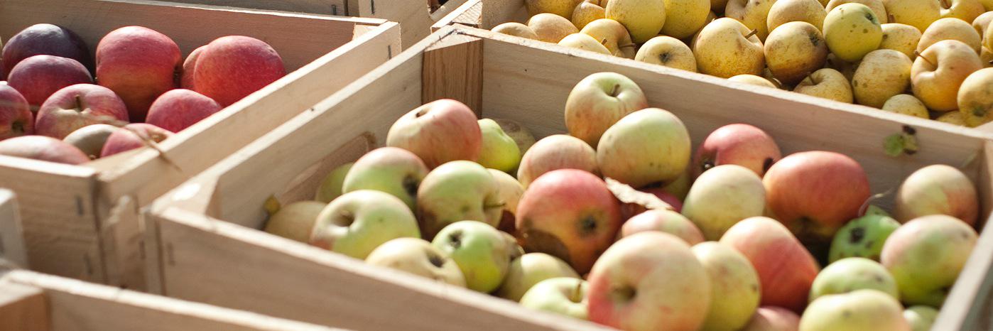 RedbyrdCider's profile banner image