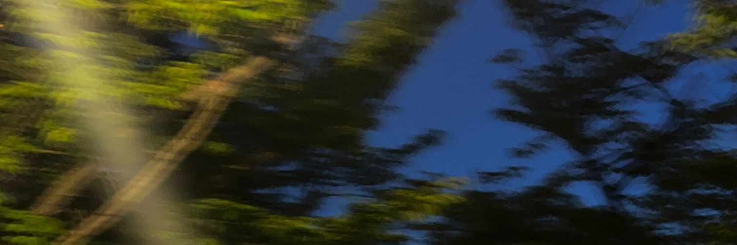 luckynat05's profile banner image