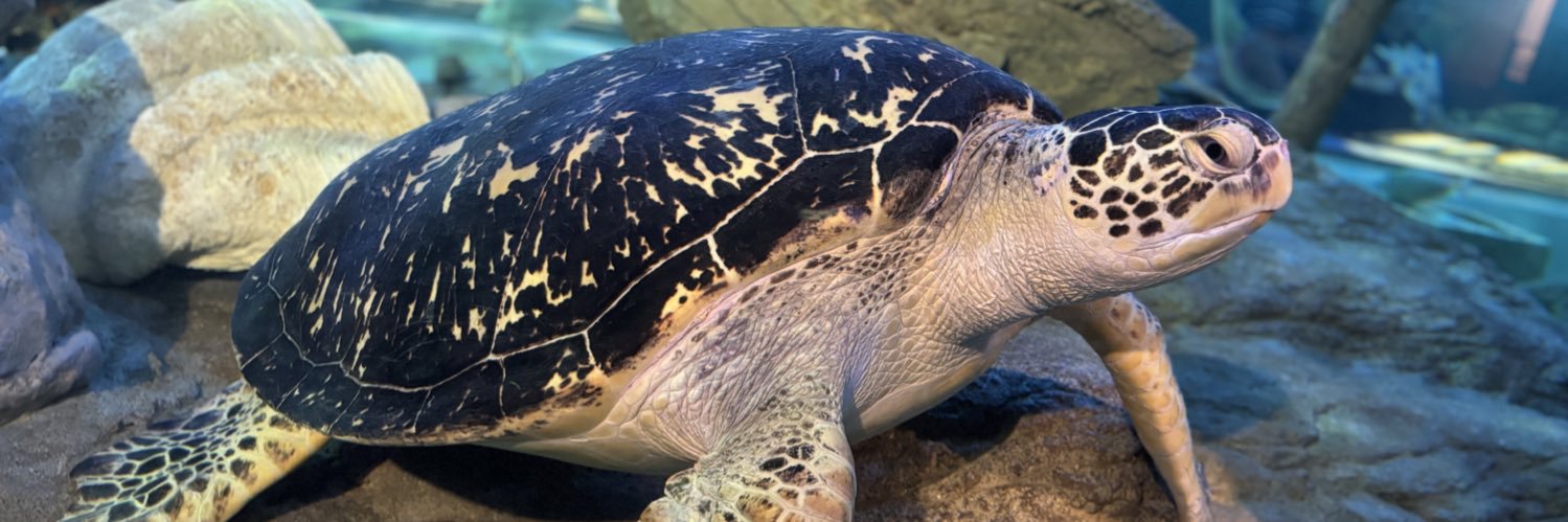 わいちゃん🍶🧡 banner