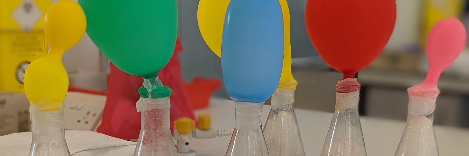 bioale1's profile banner image