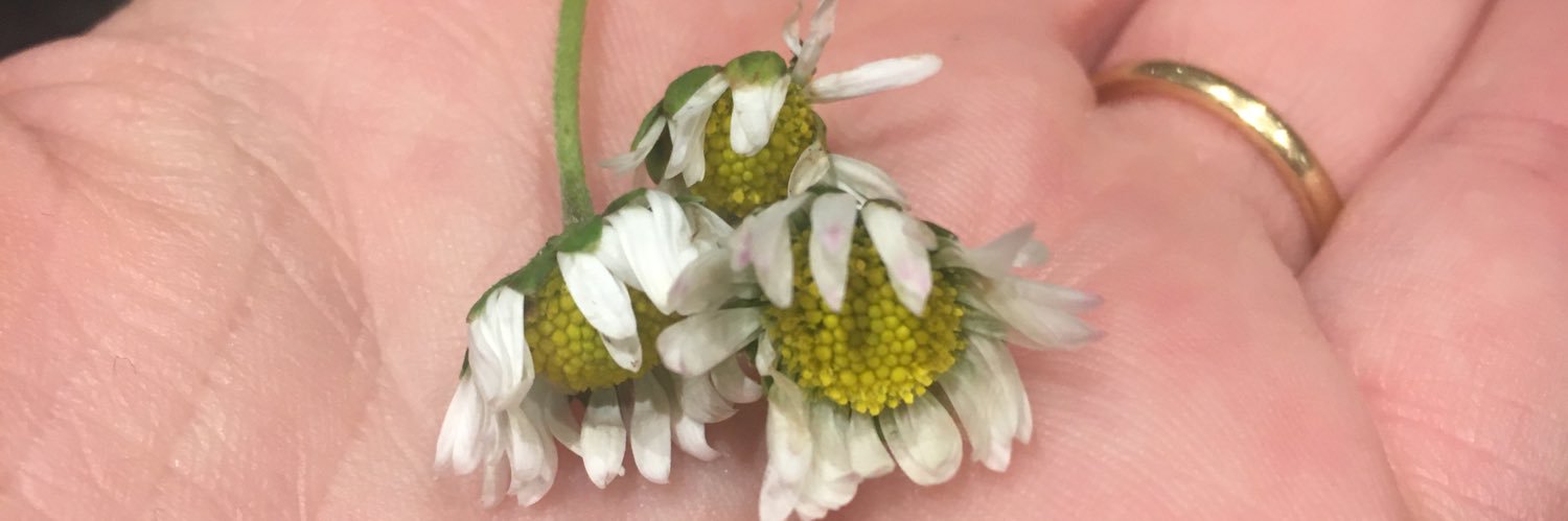 Distracto-Liz banner