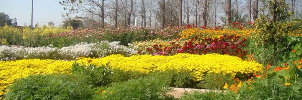 arvind_iiserm Profile Banner