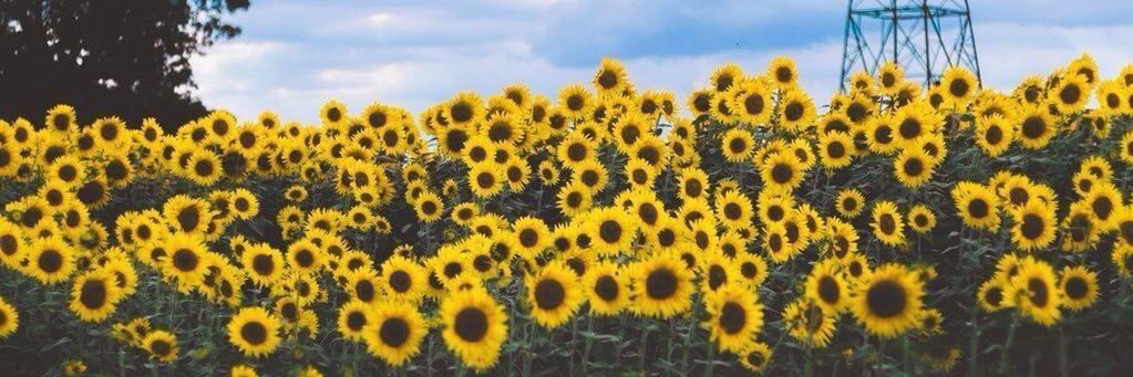 MeganHaby's profile banner image