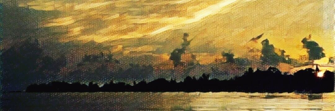 thopomore's profile banner image