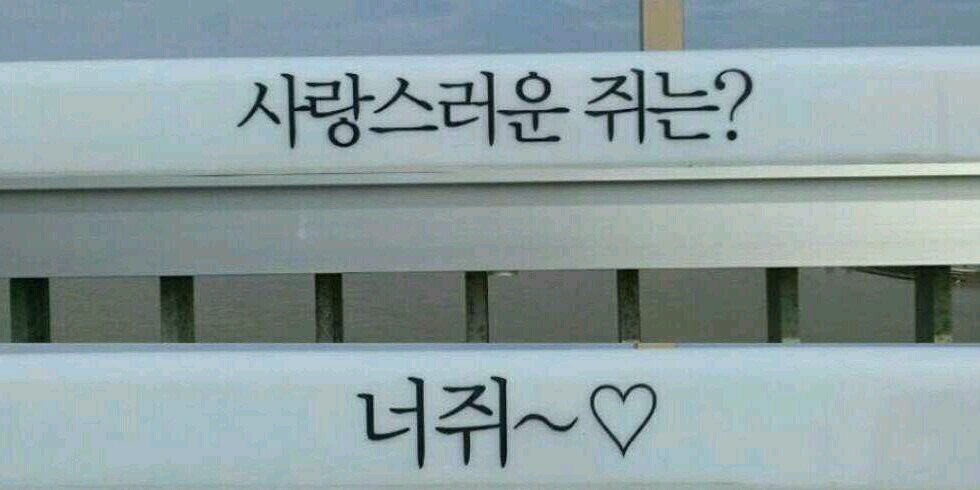 JHszJS's profile banner image