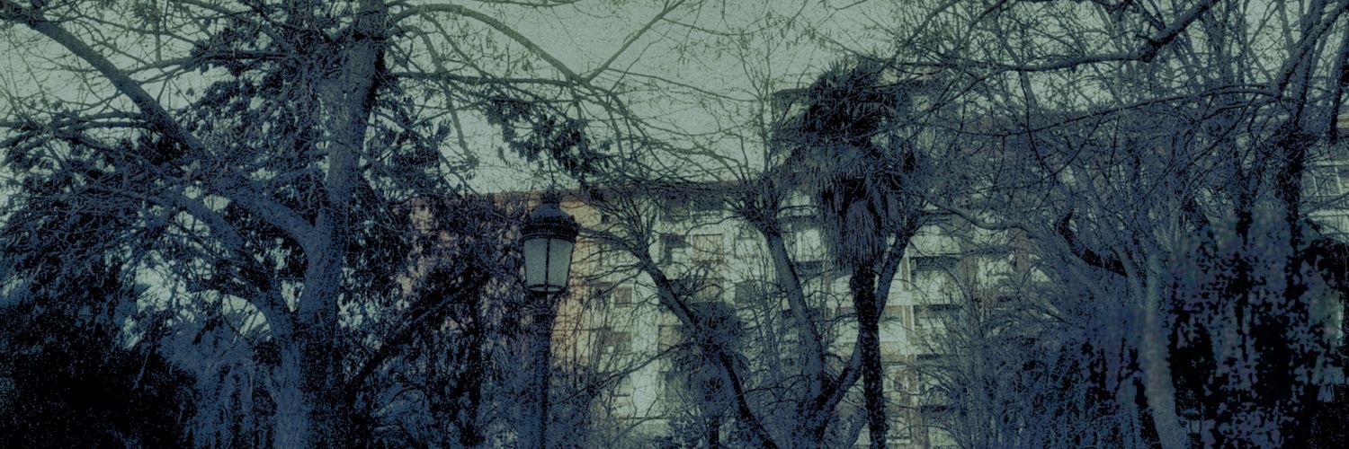 Xenn1100's profile banner image