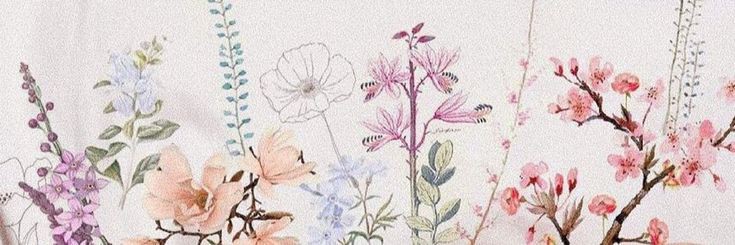 naa ༘⋆✿ banner