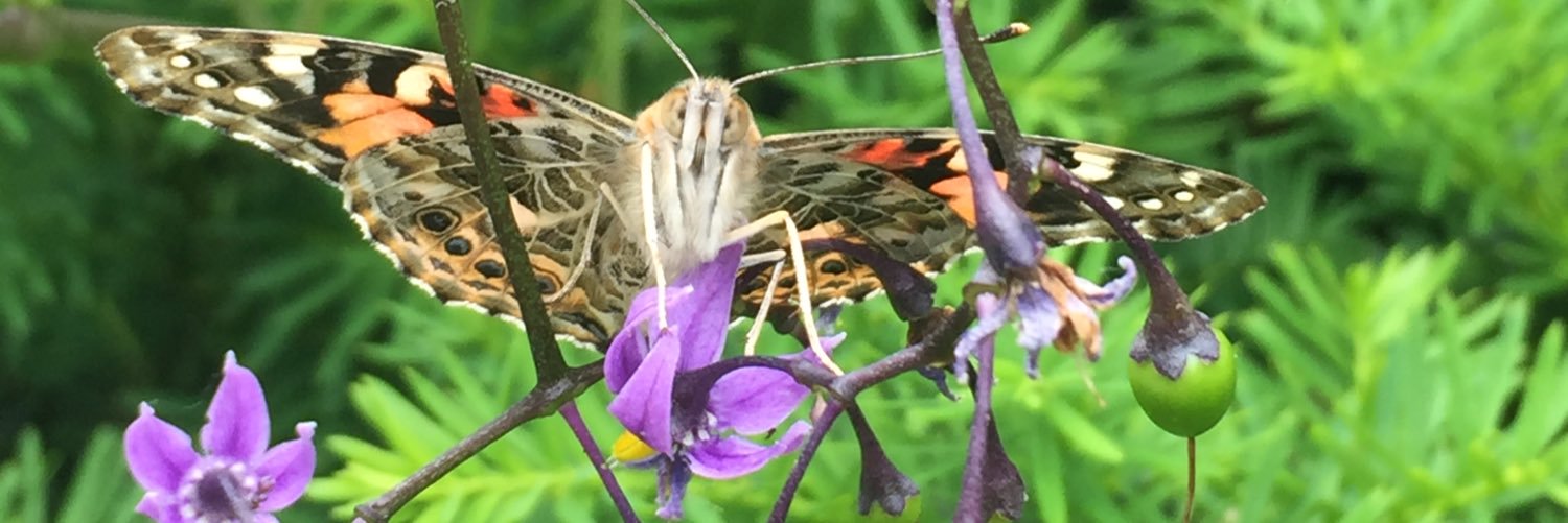 Michael Zelenetz banner