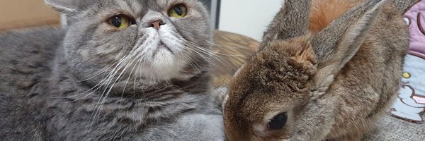 satanhotdog Profile Banner