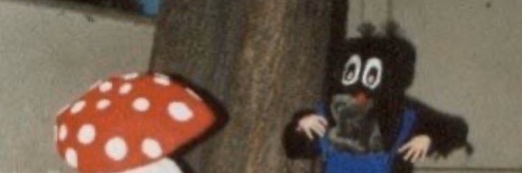 13 banner
