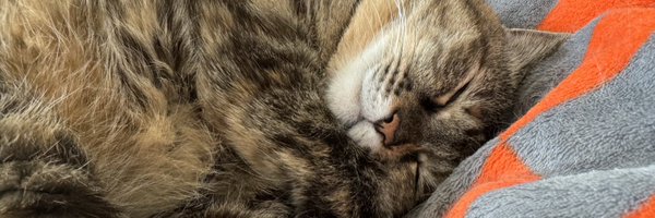 aizawa_natsuki Profile Banner