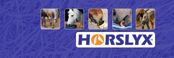 Horslyx Profile Banner
