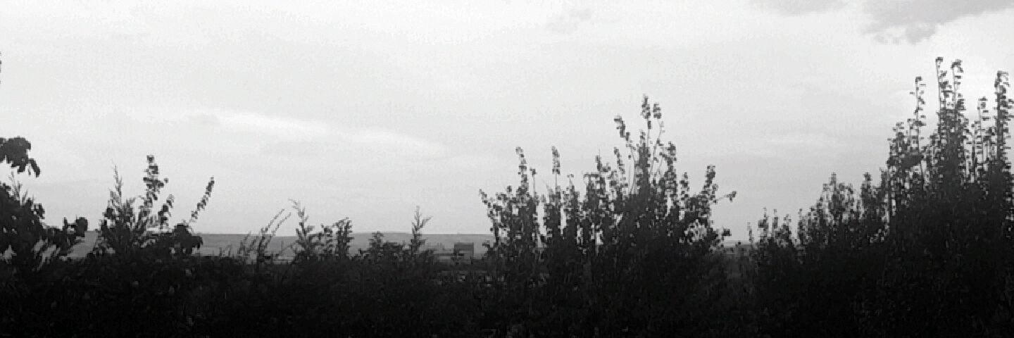 botanlioglu's profile banner image