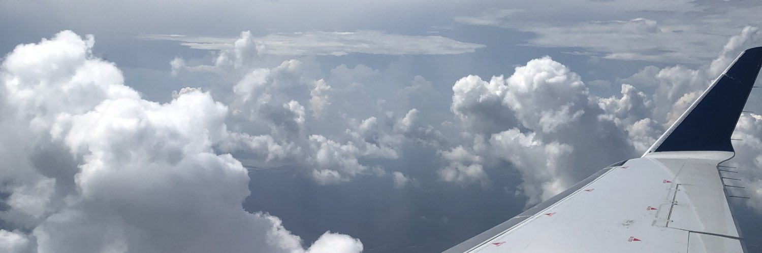 CarlieMeara's profile banner image