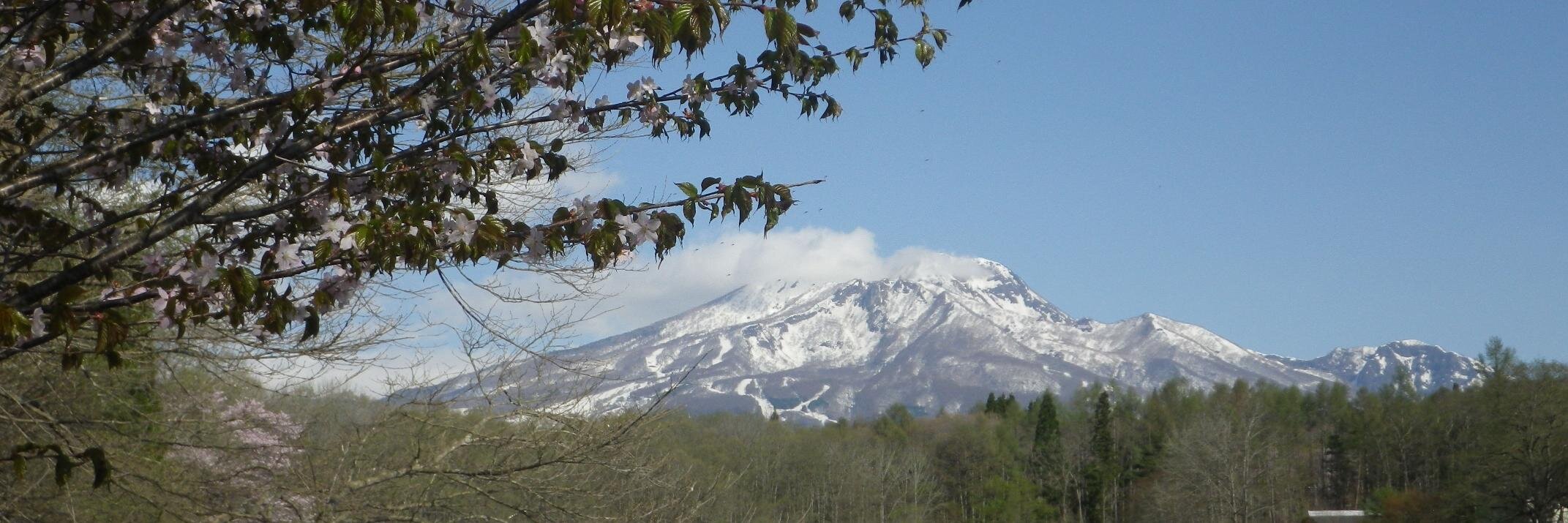 Yukie Koyama🍉🇵🇸💙💛 banner